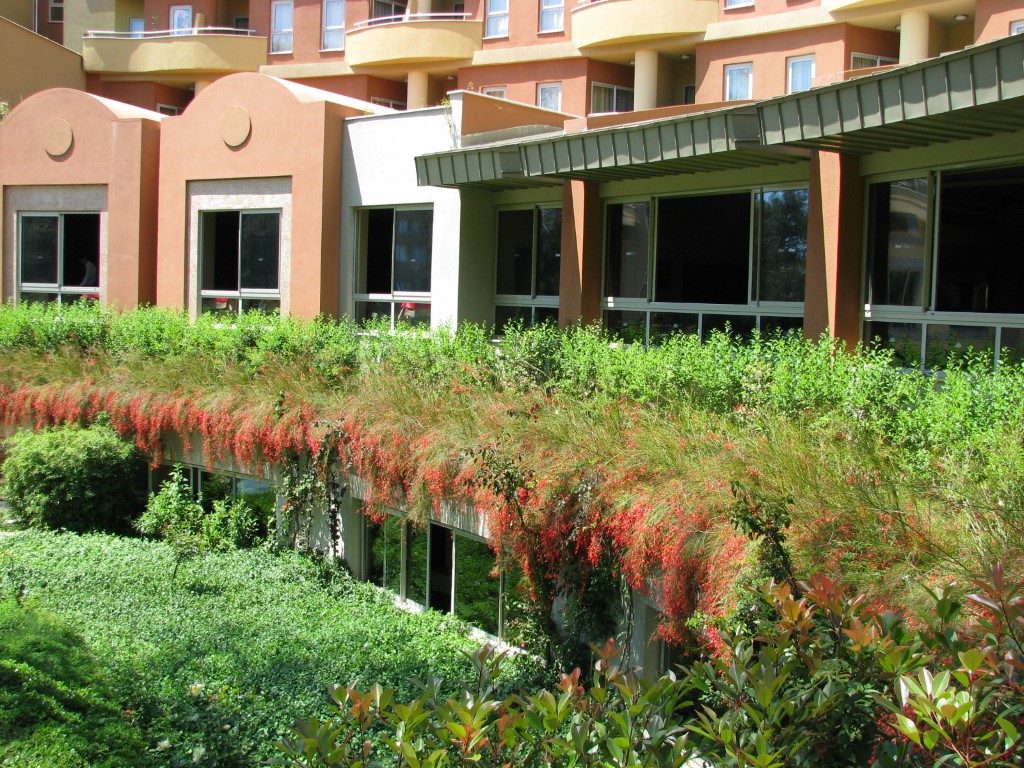 imagini hotel SUENO BEACH SIDE